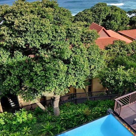 Anew Hotel Ocean Reef Zinkwazi Extérieur photo